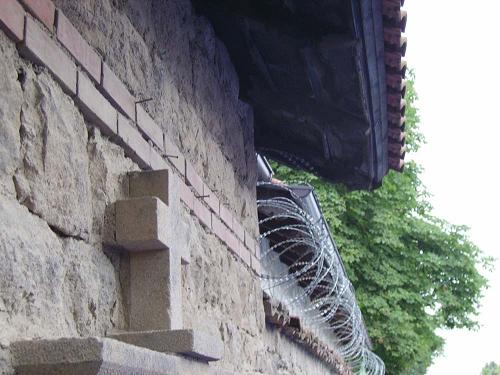 ����������� ���� 2010